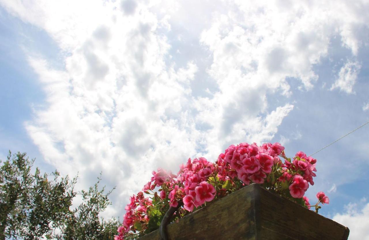 Bed and Breakfast Il Sole Di Poggi Imperia Exterior foto