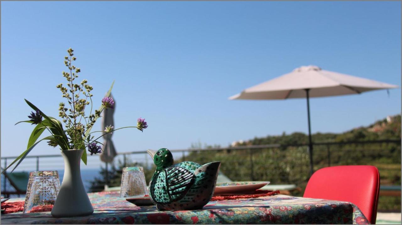Bed and Breakfast Il Sole Di Poggi Imperia Exterior foto