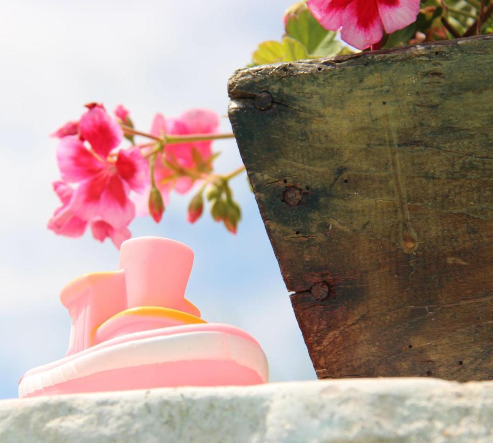 Bed and Breakfast Il Sole Di Poggi Imperia Exterior foto